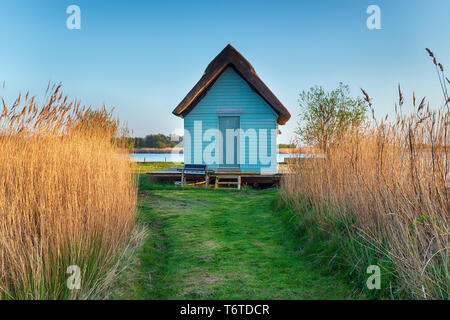 Une maison de bateau dans les roseaux près de Horsey sur les Norfolk Broads Banque D'Images