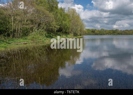 Loch Eglinton au début de l'été avec de beaux reflets du ciel sur les eaux calmes du loch. Banque D'Images