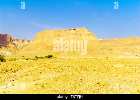 Vue de la forteresse de Massada et le paysage du désert de Judée, près de la Mer Morte, dans le sud d'Israël Banque D'Images