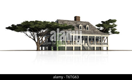 Maisons de plantation avec pins laricio - isolé sur fond blanc Banque D'Images