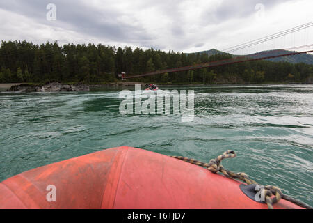 Rafting et du canotage sur la rivière Katun Banque D'Images