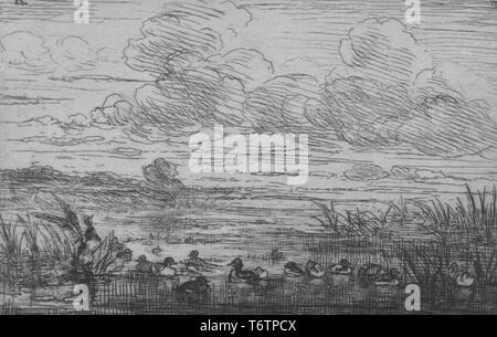 Gravure noir et blanc représentant un petit troupeau de canards flottant sur un étang marécageux, avec nuages flottant ; frais généraux intitulé 'Le petit marais' aux canards (le petit marais avec des canards), numérotées, avec l'initiale de l'artiste a gravé dans le coin supérieur gauche ; par l'illustrateur Félix Bracquemond, 1867. À partir de la Bibliothèque publique de New York. () Banque D'Images