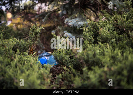 Grande bouteille en plastique bleu allongé sur le sol dans un parc d'arbres en forêt - jeté pas recyclés - Corbeille et la pollution de la ville et de la nature - Décadence Banque D'Images