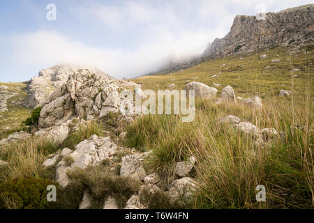 Sur le GR 221. La longue distance chemin sur la Serra de Tramuntana, aussi appelée route de la pierre sèche, dans West-Mallorca, Espagne Banque D'Images