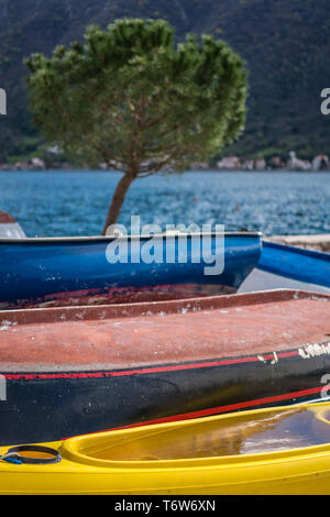 Arbres et bateaux de pêche colorés Banque D'Images