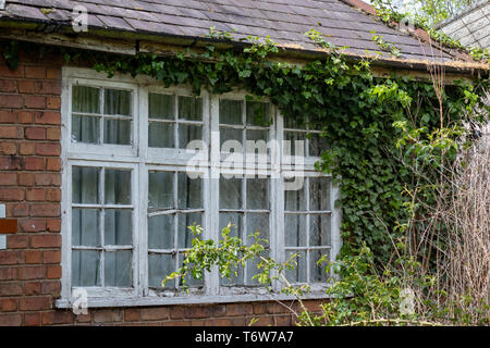 Chalet à l'abandon dans la fenêtre Avant besoin de réparation ou de restauration près de la rivière Trent, Nottingham.Angleterre Banque D'Images