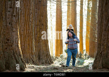 Père porte sa fille sur ses épaules à travers la forêt Banque D'Images
