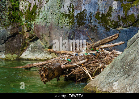 Jeter les bouteilles et les boîtes de boissons ont abandonné sur un tas de debri au bord de l'eau de rivière Elk à Pisgah Forest National dans la région de Avery Comté, Banque D'Images