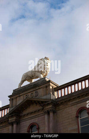 Huddersfield, West Yorkshire, Royaume-Uni, octobre 2013, statue de lion Lion sur Arcade, John William Street, Huddersfield Banque D'Images