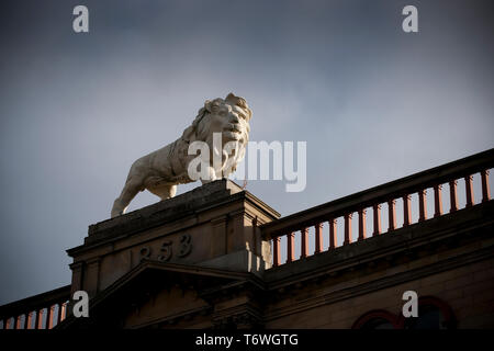 Huddersfield, West Yorkshire, Royaume-Uni, octobre 2013, statue de lion Lion sur Arcade, John William Street, Huddersfield Banque D'Images