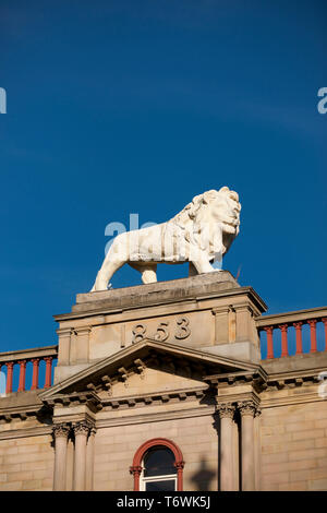 Huddersfield, West Yorkshire, Royaume-Uni, octobre 2013, statue de lion Lion sur Arcade, John William Street, Huddersfield Banque D'Images