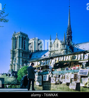 Bouquinistes libraires de seconde main, la cathédrale Notre-Dame de Paris, avant l'incendie du 15 avril 2019, façade sud, spire, Paris, France, Europe, Banque D'Images