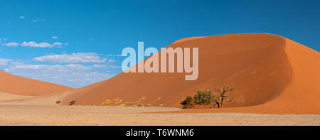 Dune 45 dans la région de Sossusvlei, Namibie desert Banque D'Images