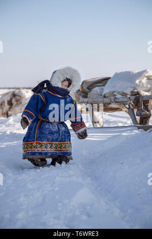 La Russie, dans la région autonome de Yamal-Nenets, péninsule de Yamal. Camp de nomades éleveurs de rennes Nenets, jeune enfant en tenue traditionnelle. Banque D'Images