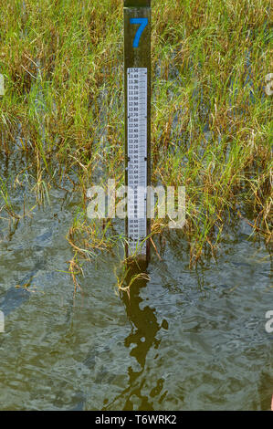 Jauge Indicateur de niveau de profondeur du personnel du compteur de l'eau l'outil de surveillance de l'indicateur de hauteur règle Post Close-Up View dans l'eau du lac de l'herbe à l'extérieur Banque D'Images