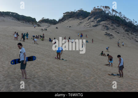 Pipa, Brésil - 23 janvier 2019 : les touristes Sandboarding sur une dune près de Pipa sur le Brésil Banque D'Images