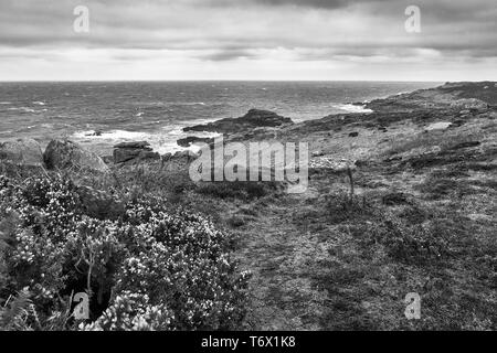 Grande-bretagne Rock et épave Porth de Normandie, St Mary's, Îles Scilly, UK, sur un jour nuageux et venteux : version noir et blanc Banque D'Images