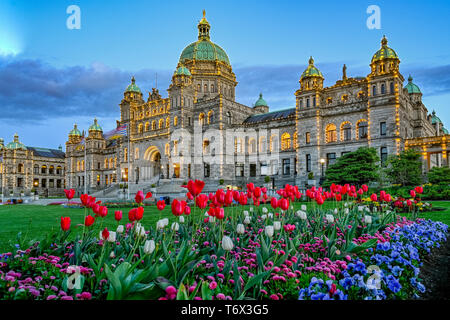 Tulip bed, Assemblée législative de la Colombie-Britannique, Victoria, Colombie-Britannique, Canada Banque D'Images