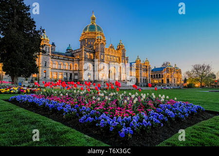 Tulip bed, Assemblée législative de la Colombie-Britannique, Victoria, Colombie-Britannique, Canada Banque D'Images