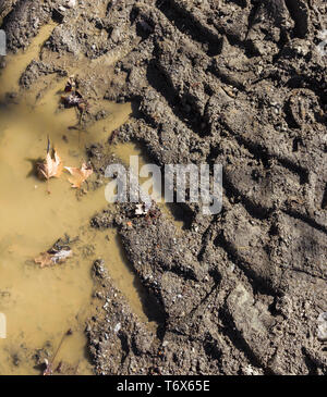 Traces de roues sur le sol Banque D'Images