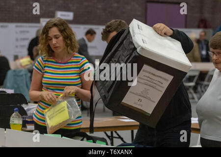 Brentwood Essex 2 mai 2019 bulletins comptés pour l'élection du conseil local Crédit : Ian Davidson/Alamy Live News Banque D'Images