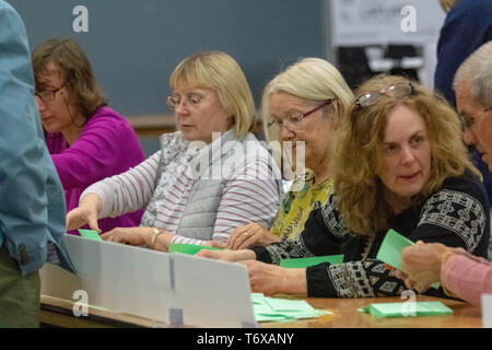 Brentwood Essex 2 mai 2019 bulletins comptés pour l'élection du conseil local des élections locales au Royaume-Uni 2019 Crédit : Ian Davidson/Alamy Live News Banque D'Images