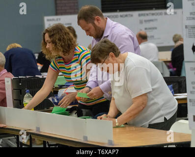 Brentwood Essex 2 mai 2019 bulletins comptés à l'élection du conseil local des élections locales au Royaume-Uni 2019 Crédit : Ian Davidson/Alamy Live News Banque D'Images