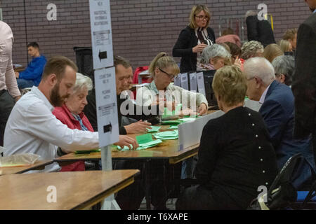 Brentwood Essex 2 mai 2019 bulletins comptés à l'élection du conseil local count at Brentwood uk élections locales 2019 Crédit : Ian Davidson/Alamy Live News Banque D'Images