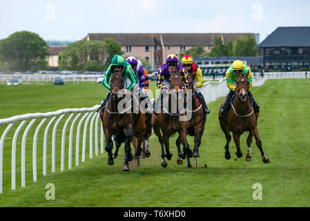 Musselburgh, East Lothian, Ecosse, Royaume-Uni. 3 mai, 2019. Télévision : Courses de chevaux 14,55 Weatherbys Stallion Livre Handicap course. La course de chevaux le long du premier tronçon rectiligne avec Coolagh Forest monté par Paul Casino le gagnant identifié par un maillot mauve avec des étoiles Banque D'Images