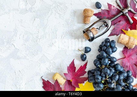 Le raisin noir, tire-bouchon et de feuilles aux couleurs automnales. Banque D'Images