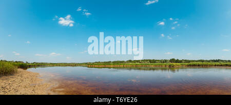 Iode d'été panorama du lac, de l'Ukraine Banque D'Images