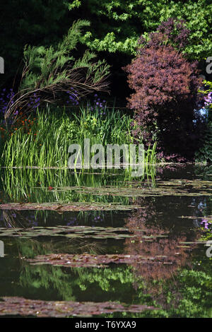 Le jardin de Monet, Giverny, la Normandie, France Banque D'Images