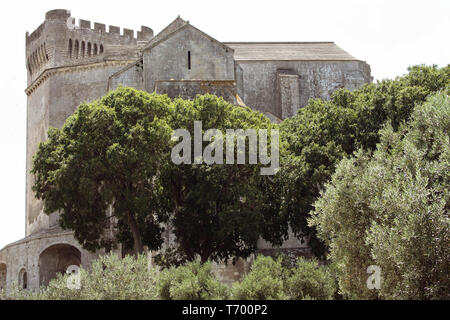 L'abbaye de Montmajour, Arles, France Banque D'Images