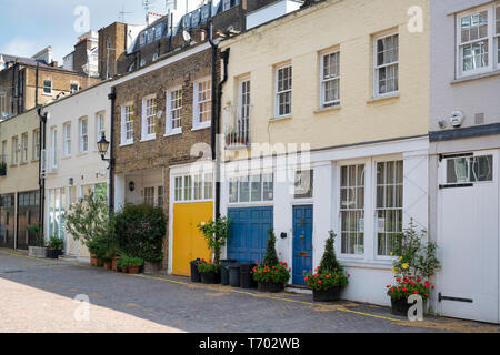 Maisons avec de petits arbres et d'arbustes en conteneurs dans le Queens Gate Mews, South Kensington, London, Englan Banque D'Images