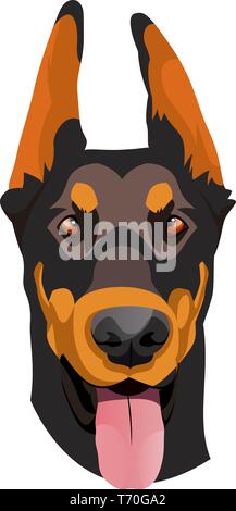 Vector illustration Doberman sur fond blanc Illustration de Vecteur