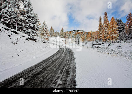 Première neige dans un col de montagne Banque D'Images