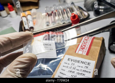 La prise de police spécialisées dans les cheveux montre Support pour microscope pour analyser en laboratoire scientifique, conceptual image Banque D'Images