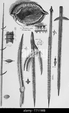 Tirage d'époque en noir et blanc, représentant un "requin's Jaw' (centre haut) pour illustrer l'arrangement des dents, et une variété d'Îles Gilbert (anciennement le Kingsmill et King's-Mill Islands) objets fabriqués à partir de dents de requins : y compris une dent de requin lance (à gauche) ; et quatre dents de requin bordé swords (bas) publié dans John George Wood's volumes 'Les Barbares de courses hommes dans tous les pays du monde, d'être un compte rendu exhaustif de leurs habitudes et de leurs coutumes, et de leur développement physique, social, mental, moral et religieux des', 1877. Avec la permission de Internet Archive. () Banque D'Images