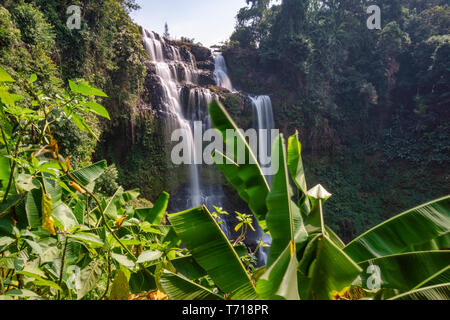 Tad Yuang Gneuang cascade , Plateau des Bolavens, province de Champasak, au Laos Banque D'Images