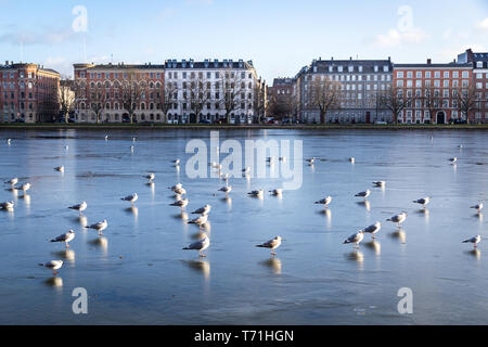 Vue sur les lacs de Copenhague, Danemark Banque D'Images