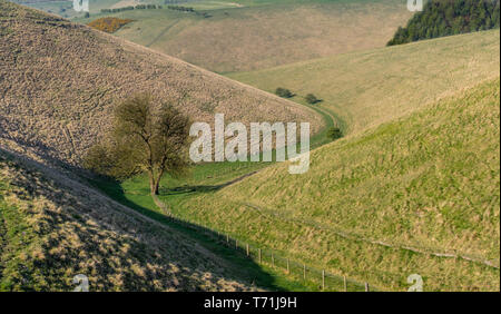 Frendal Dale dans le Yorkshire Wolds Banque D'Images