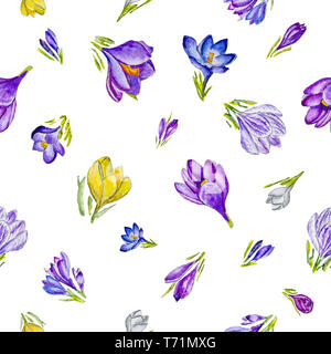 Motif floral de l'aquarelle avec des crocus. Banque D'Images