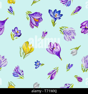 Motif floral de l'aquarelle avec crocus de printemps. Banque D'Images