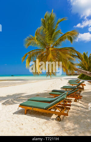 Transats sur la plage aux Maldives Banque D'Images