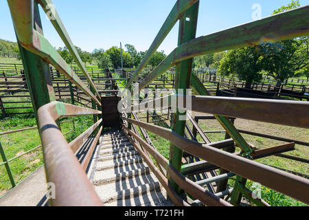 Vue vers le bas d'une rampe d'accès du bétail, au sud-ouest du Queensland, Queensland, Australie Banque D'Images