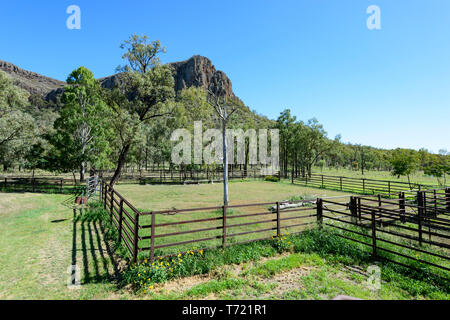 Enclos de bétail près de Minerva Hills National Park, au sud-ouest du Queensland, Queensland, Australie Banque D'Images