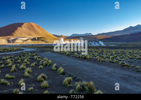 El Tatio Geysers cratère dans le nord du Chili, région d'Atacama Banque D'Images