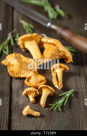 Champignons Сhanterelle Banque D'Images