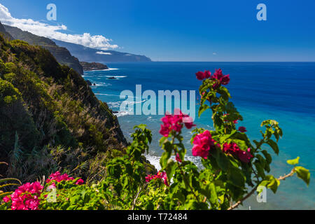 Des fleurs sur l'autre en Boaventura - Portugal Madère Banque D'Images