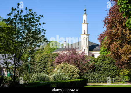 Le minaret de la grande mosquée de Bruxelles, Belgique, dépassant au-dessus des buissons dans le Parc du Cinquantenaire au printemps. Banque D'Images